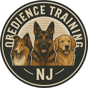 Obedience Training NJ